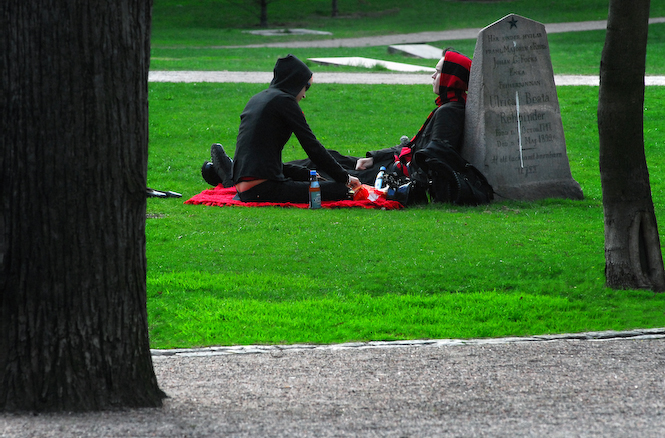 Black_picnick