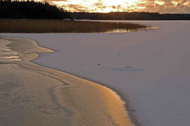 Golden_shore_tuned