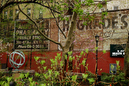 Park_in_Greenvich